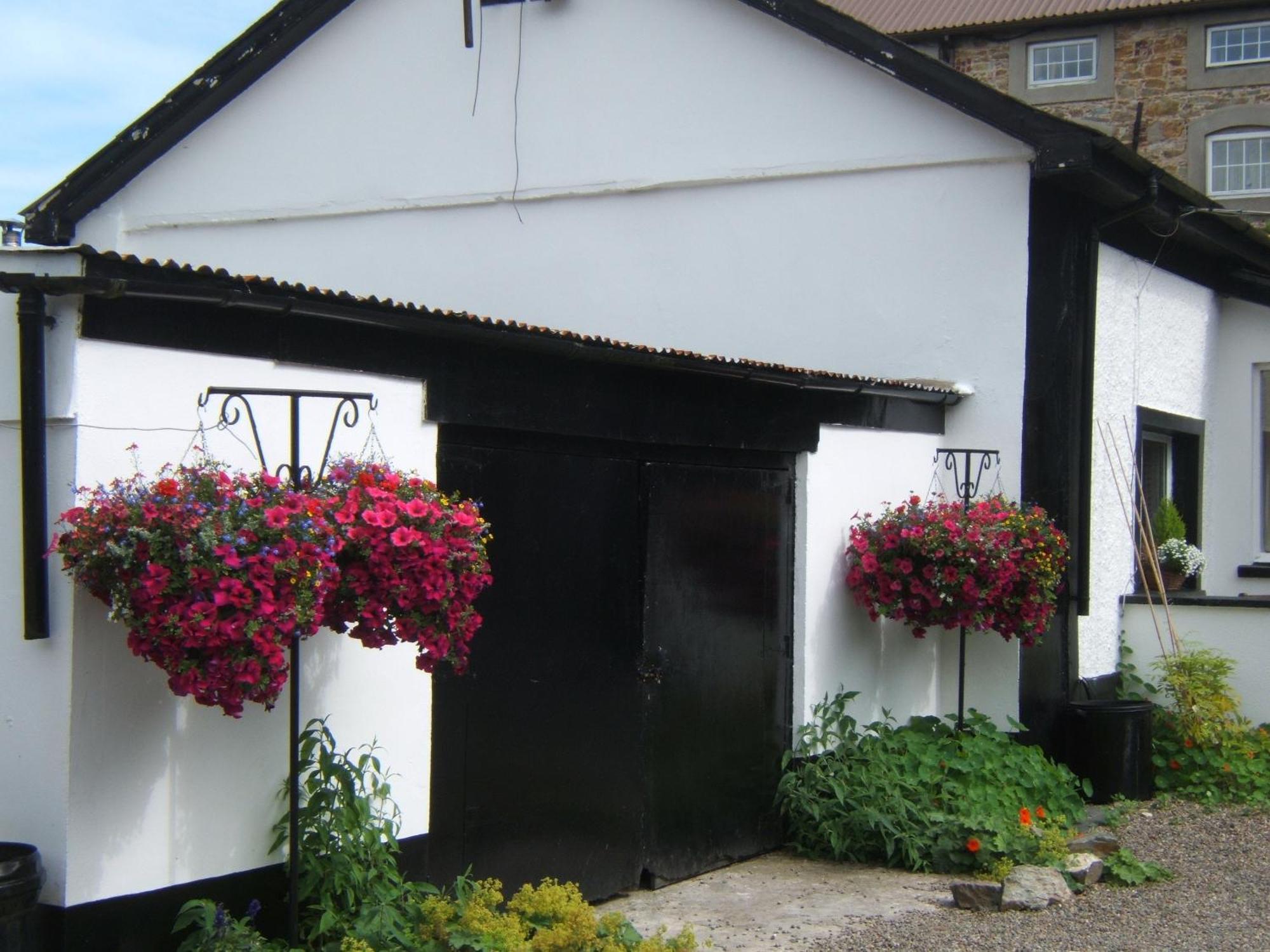 Faythe Guesthouse Wexford Kültér fotó