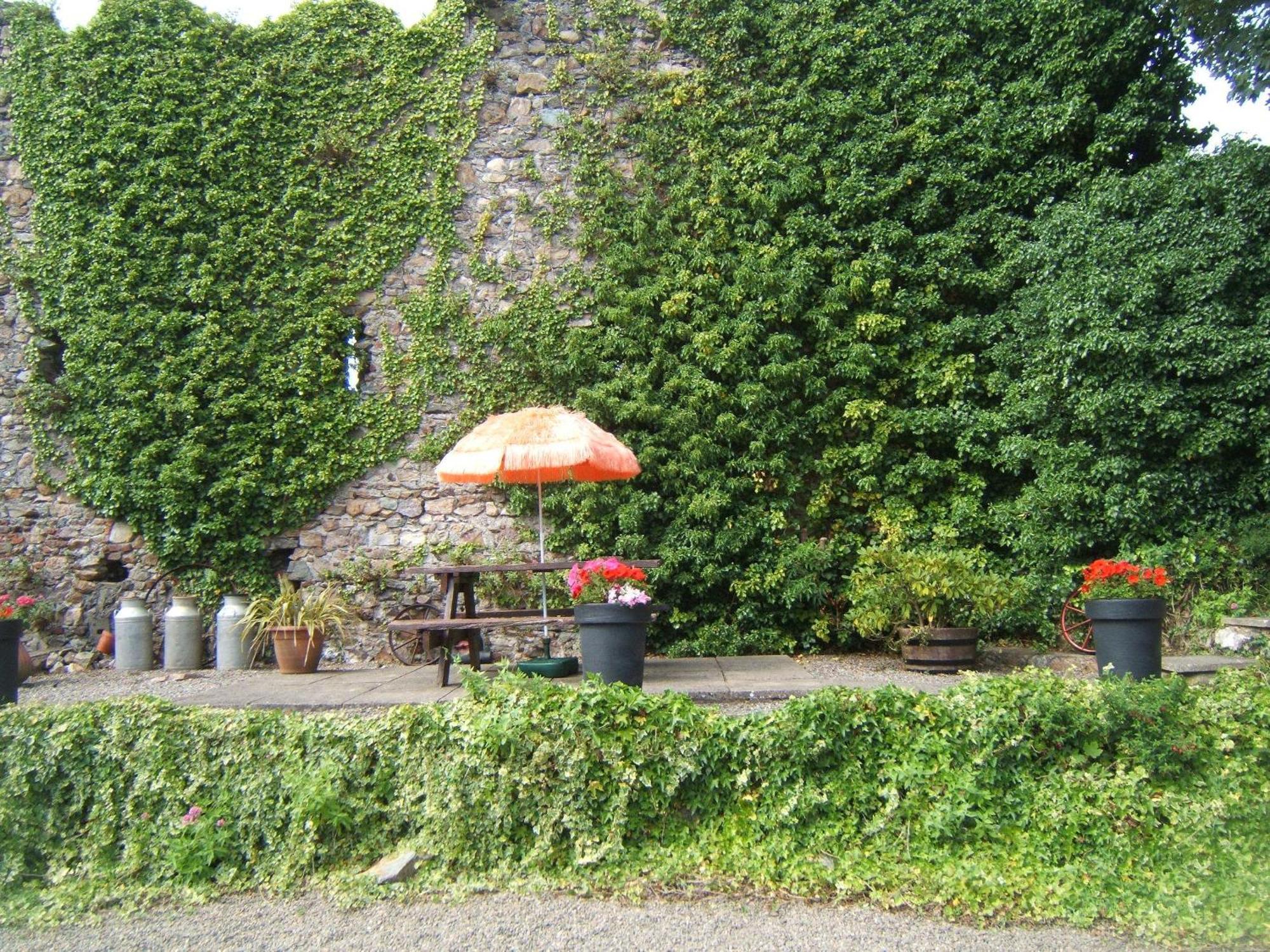 Faythe Guesthouse Wexford Kültér fotó